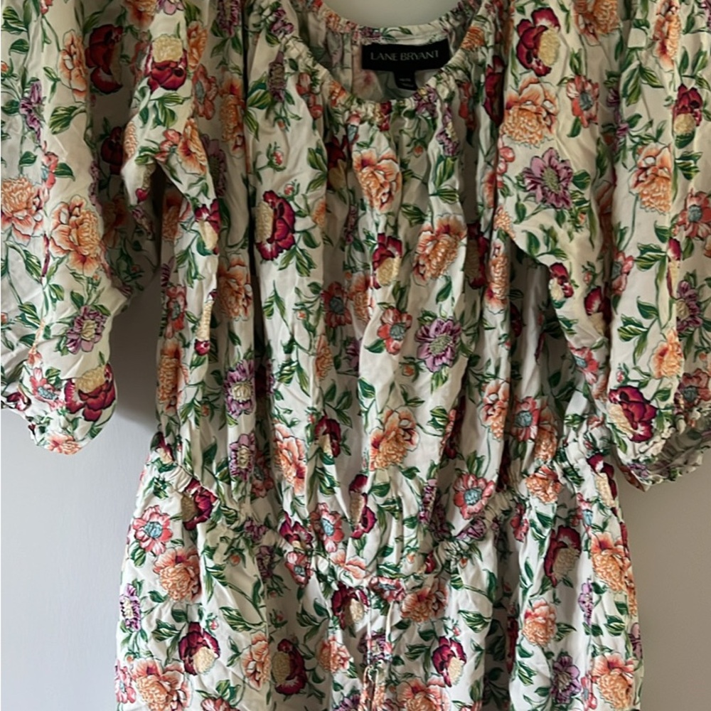 Lane Bryant Multicolor Floral Dress